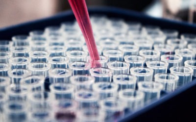 Matériaux : le Groupe 6NAPSE poursuit son évolution