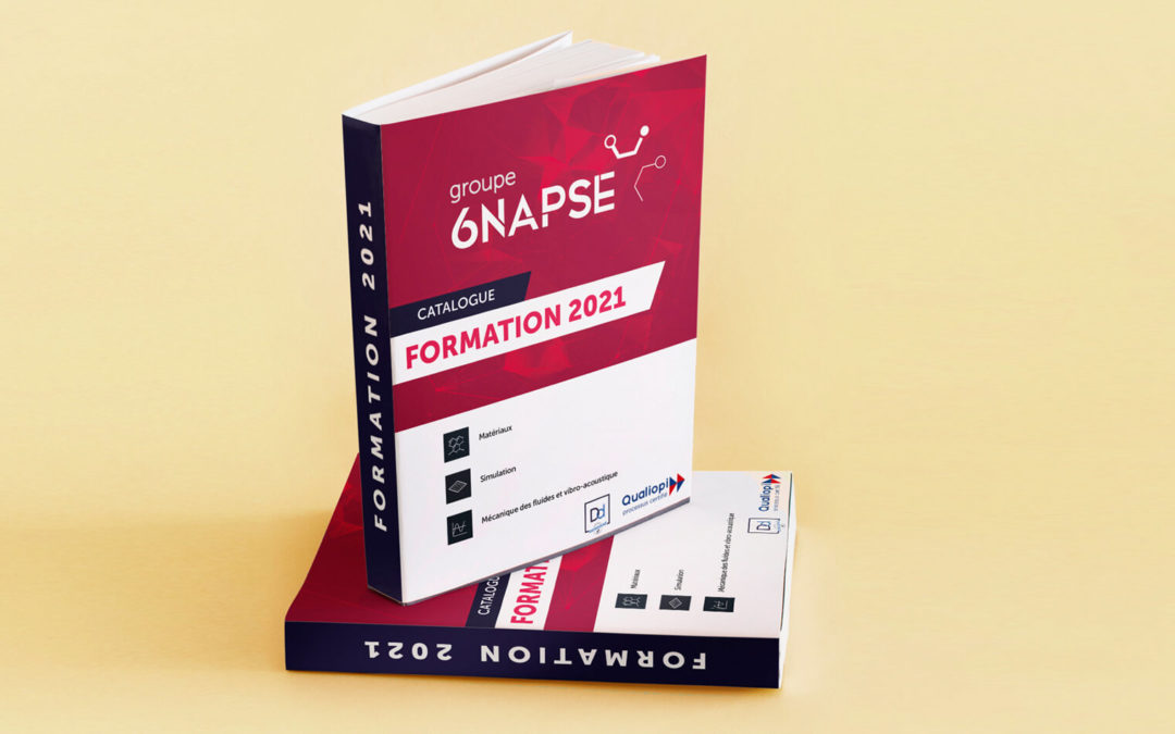 Le catalogue de formations 2021 du Groupe 6NAPSE est disponible
