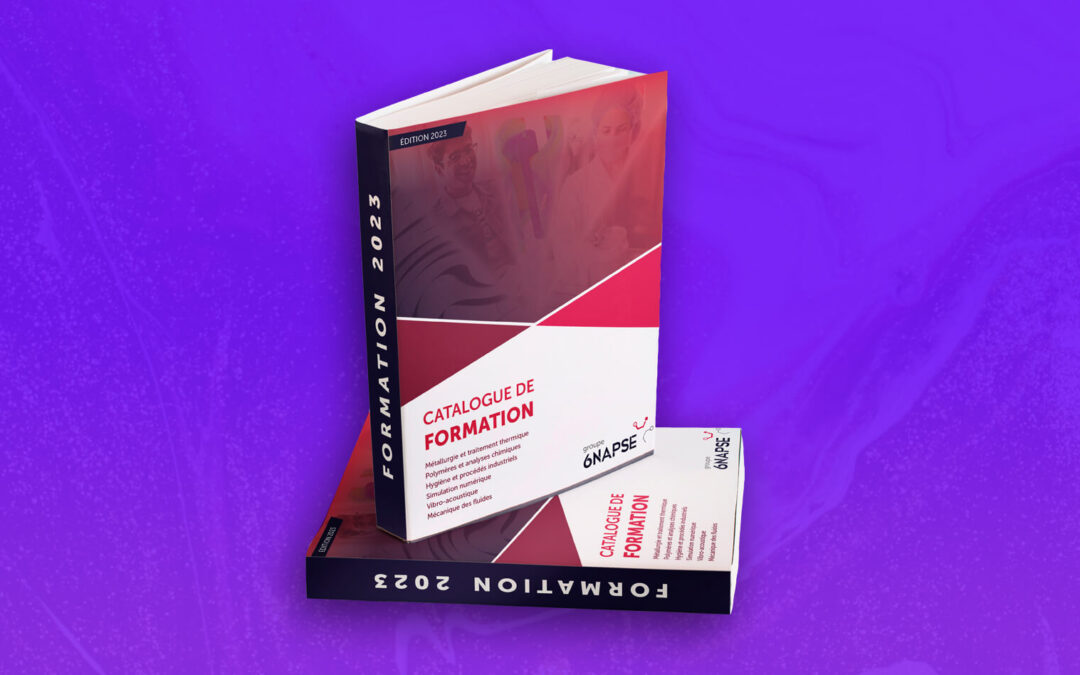 Formation 2023 : le catalogue du Groupe 6NAPSE est disponible