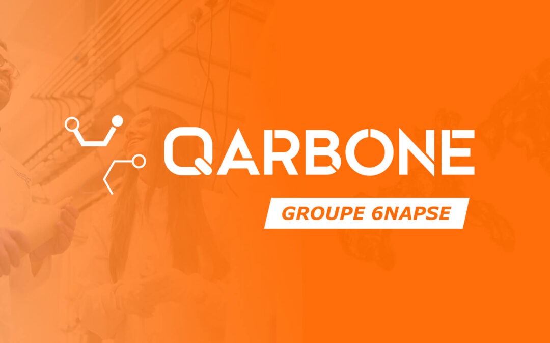 QARBONE, laboratoire d&rsquo;expertises matériaux du Groupe 6NAPSE à Lyon