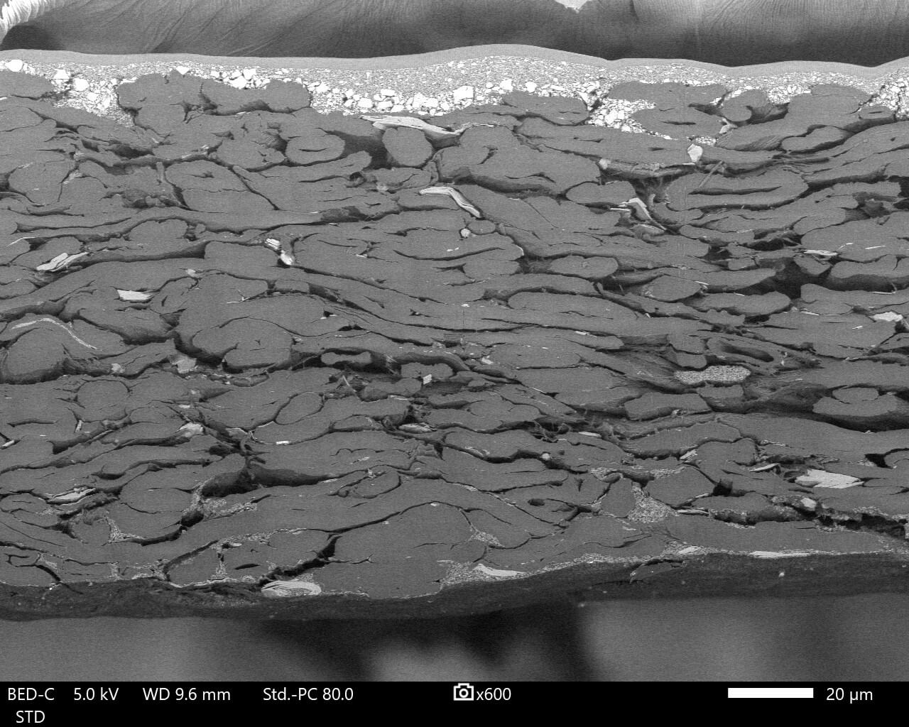 papier après polissage ionique